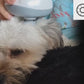 Portable Pet Massager